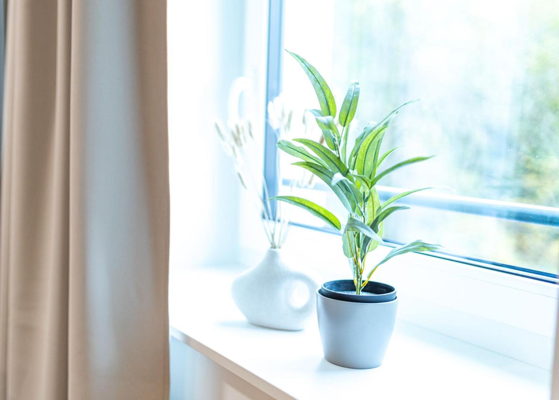 Dwellstay - City Apartments Fulda Værelse billede